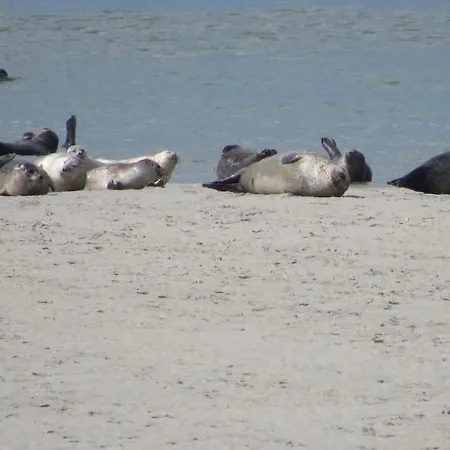 Apartmán Le Clos De Beauchamp Le Bord De 2 Velos Sont Disponibles Gratuitement Saint-Valéry-sur-Somme
