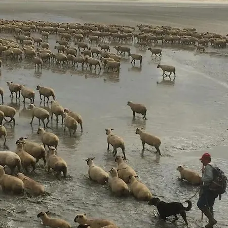 Le Clos De Beauchamp Le Bord De 2 Velos Sont Disponibles Gratuitement