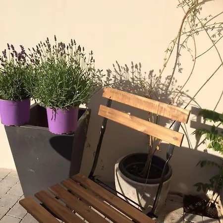 Lägenhet Le Clos De Beauchamp Le Bord De 2 Velos Sont Disponibles Gratuitement