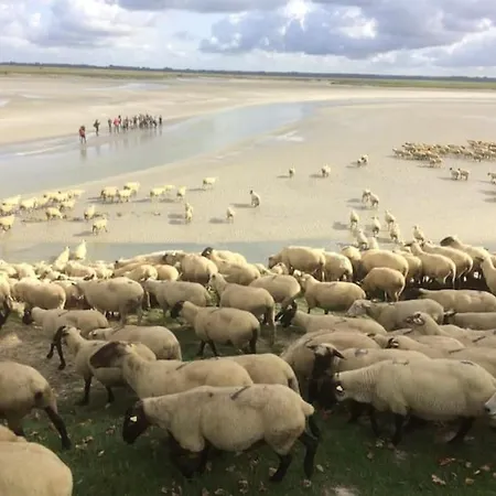 Lägenhet Le Clos De Beauchamp Le Bord De 2 Velos Sont Disponibles Gratuitement Saint-Valéry-sur-Somme